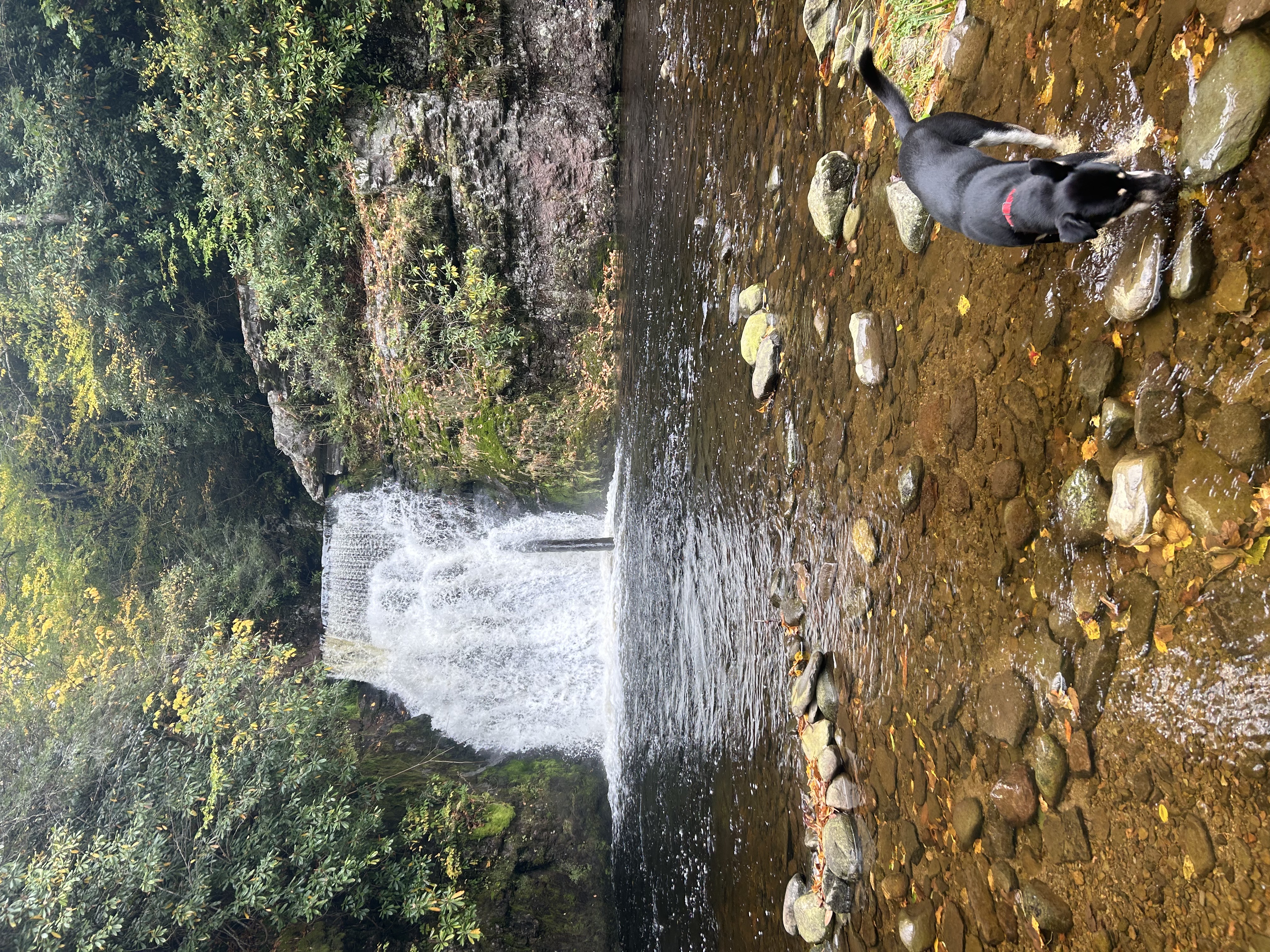 Buck Hill Lower Falls Oct 2023