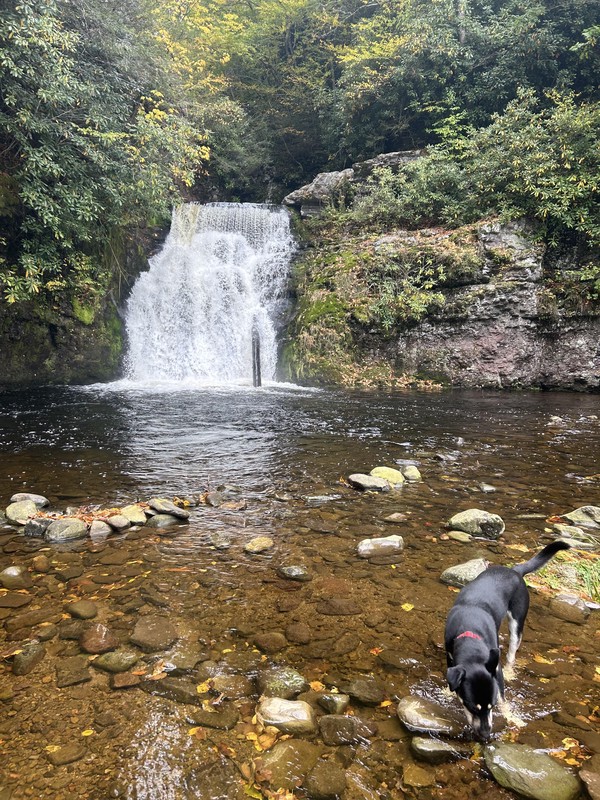 Buck Hill Lower Falls Oct 2023